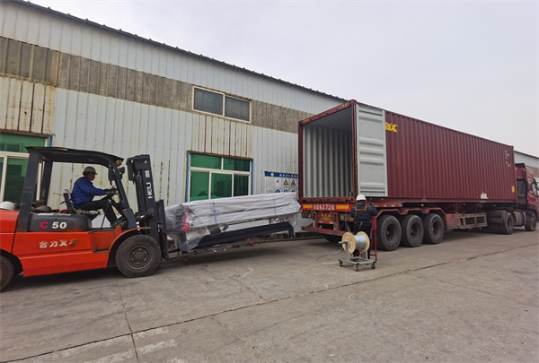 Delivery site (10)